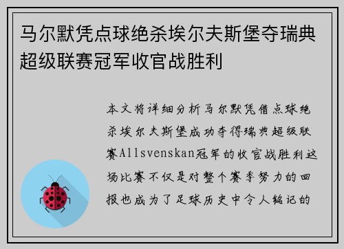 马尔默凭点球绝杀埃尔夫斯堡夺瑞典超级联赛冠军收官战胜利